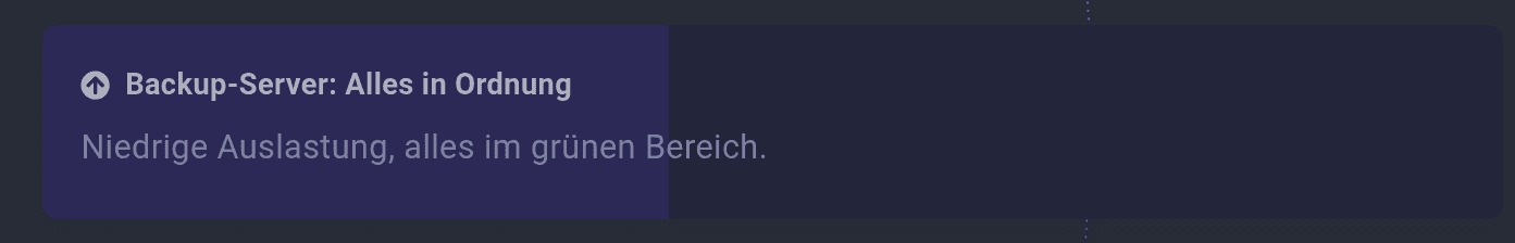 Der externe Backup-Server