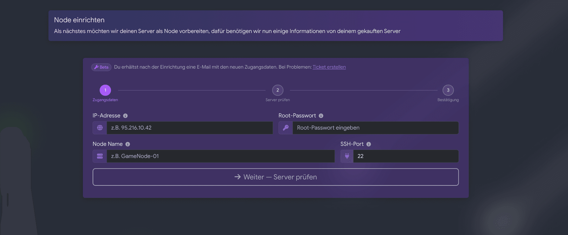 Server-Daten eintragen Screenshot